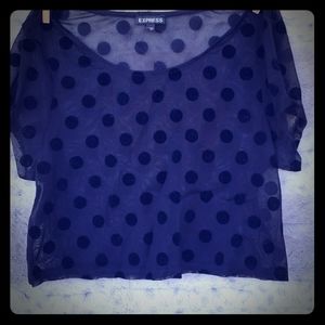 Express Sheer Pokadot Crop Top